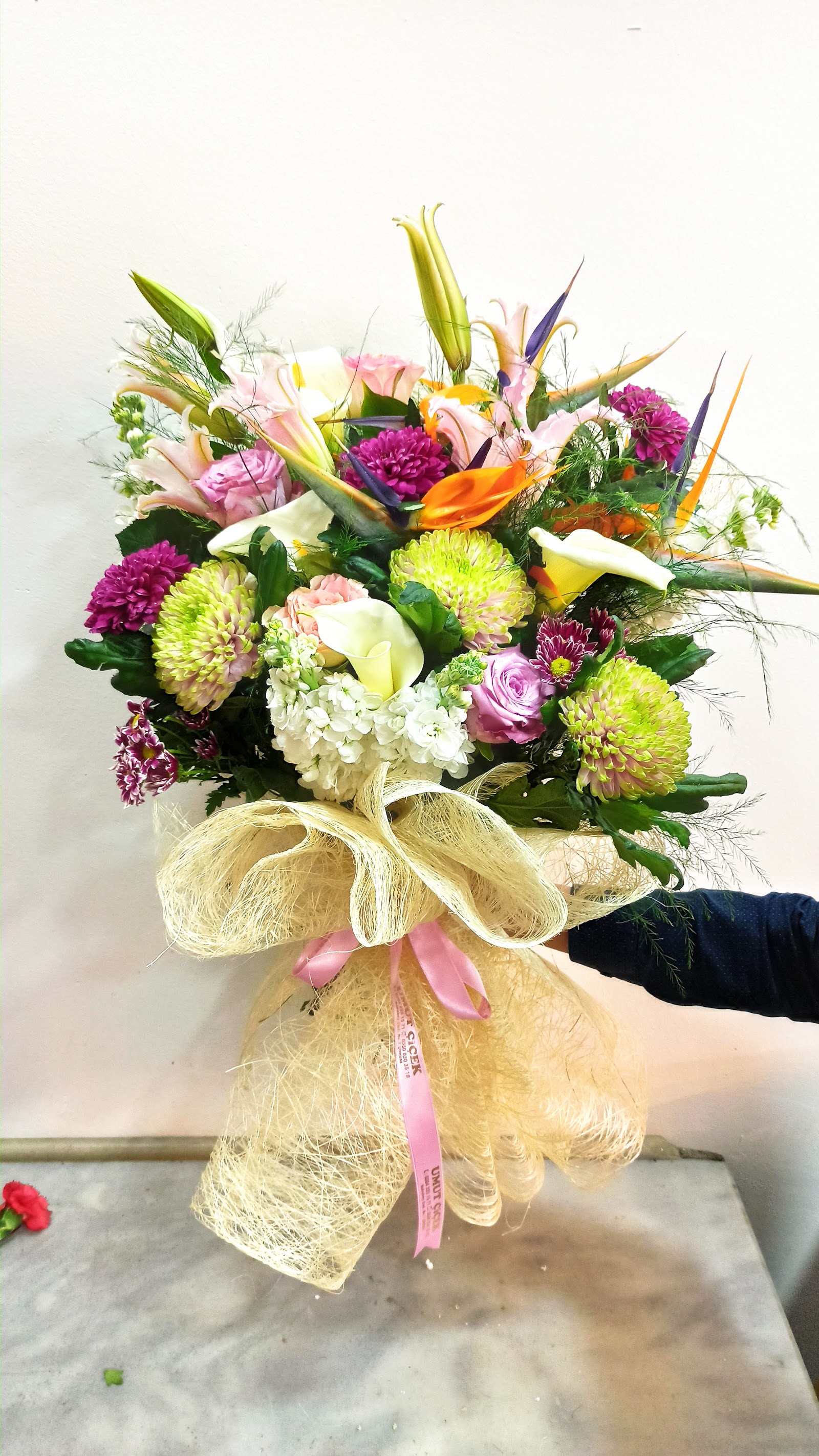 Corum hope Floriculture