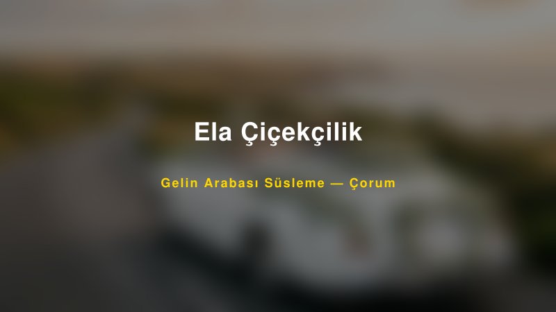 Ela Çiçekçilik — Çorum Kır Düğünü Mekanı Rehberi