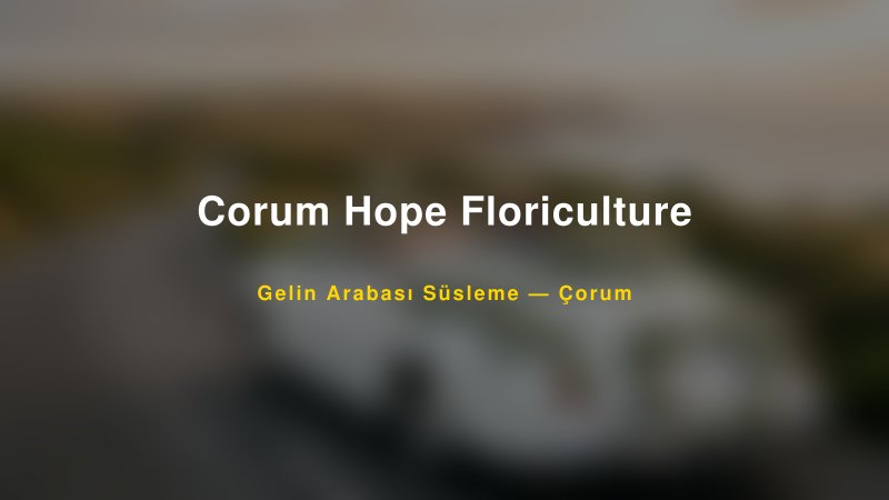 Corum Hope Floriculture ile Trend Gelin Arabası Yazıları ve Konseptleri — 1